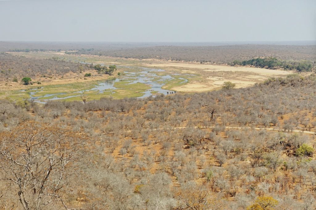 Krüger Nationalpark