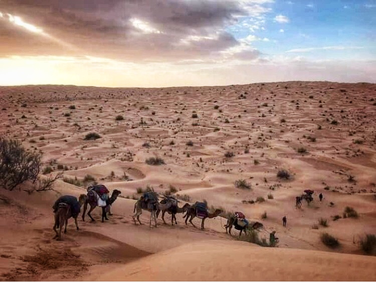 Tunesien Wüstentour